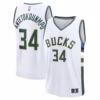 Milwaukee Bucks Giannis Antetokounmpo Black Jersey